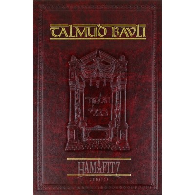 Shabbos Volume 2 [Daf Yomi]