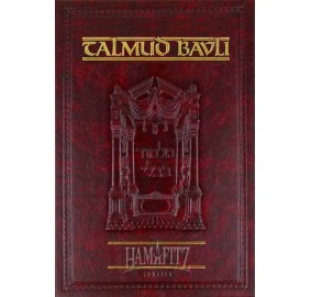Bava Metzia Vol. 2 [Daf Yomi]