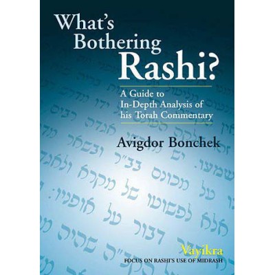 What's Bothering Rashi 3