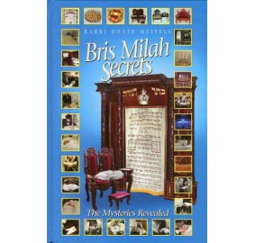 Bris Milah Secrets (Hardcover)