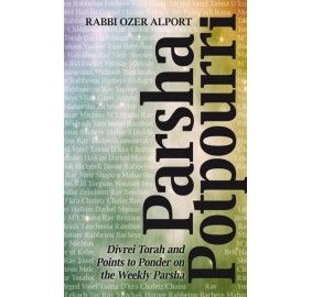 Parsha Potpourri (Hardcover)