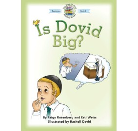 Is Dovid Big? (Hardcover)