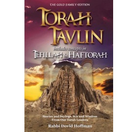 Torah Tavlin Volume 3 (Hardcover)