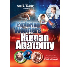 Exploring the Wonders of the Human Anatomy