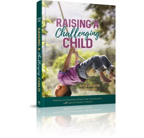 Raising a Challenging Child