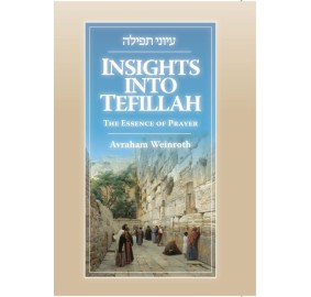 Insights Into Tefillah