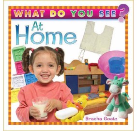 What Do You See At Home
