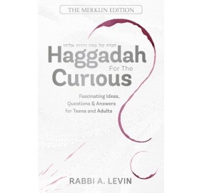 Haggadah for the Curious