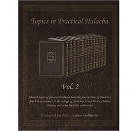 Topics in Practical Halacha Vol. 2