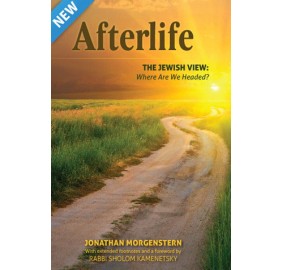 Afterlife, The Jewish View (Hardcover)