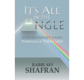 It's All In The Angle (Hardcover)