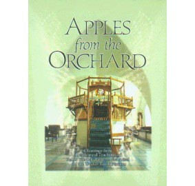 Apples From The Orchard
