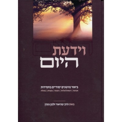 Viyadayta Hayom
