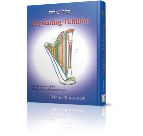 Exploring Tehillim