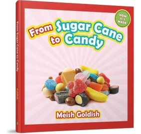 From Sugar Cane to Candy