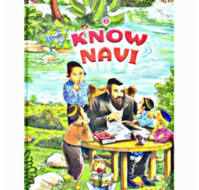 Know Navi #3