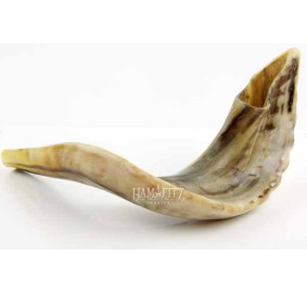 Shofar