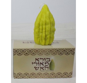 Havdalah Candle Esrog