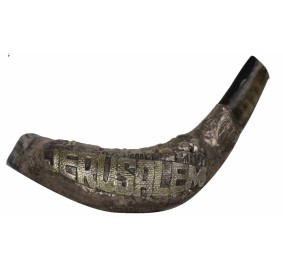 Shofar With Silver Design