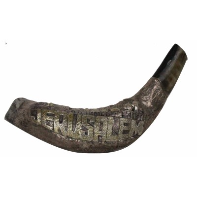 Shofar With Silver Design