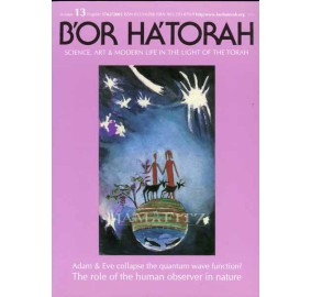 B'Or Hatorah Volume 13 - Journal Of Torah And Science [Russian]