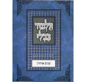 Perek Shnaim Ochzin - Tuvia - פרק שנים אוחזין - טוביה'ס