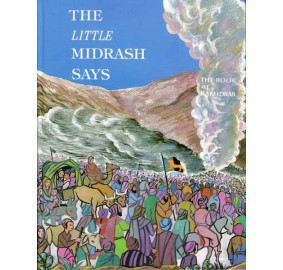 The Little Midrash Says: Bamidbar (Hardcover)