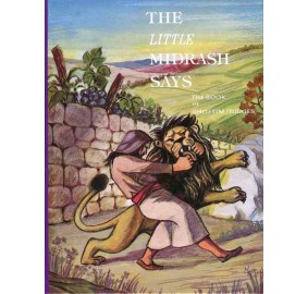 Little Midrash Says Shoftim