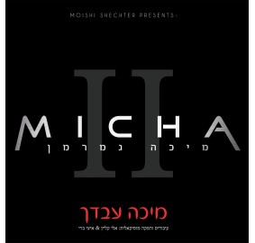 Micha Gamerman - Micha Avdecha