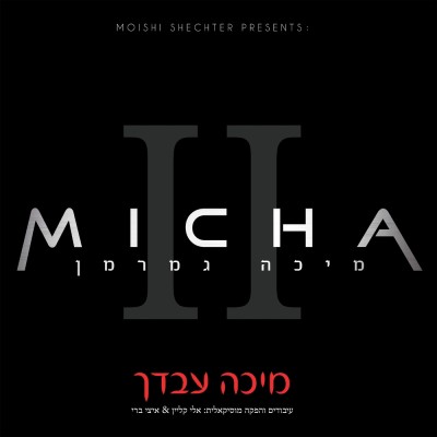 Micha Gamerman - Micha Avdecha