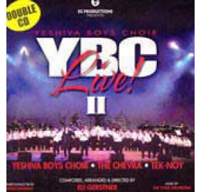 Yeshiva Boys Choir Live 2, DVD