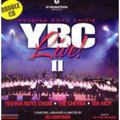 Yeshiva Boys Choir Live 2, DVD