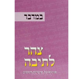 Tzohar L'teivah 4 - Bamidbar
