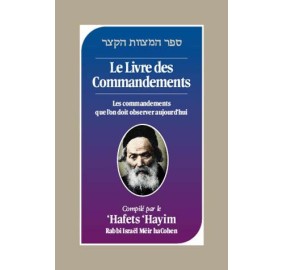 Concise Book Of Mitzvos [French]