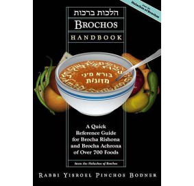 The Brochos Handbook (Paperback)