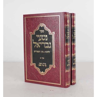 Nitei Gavriel - 3 Weeks/ Bein Hametzarim, 2 Volume Set