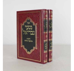 Nitei Gavriel - Sukkos/ Daled Minim, 2 Volume Set