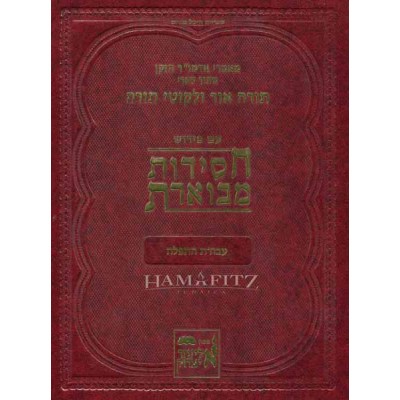 Chasidus Mevueres Tefillah