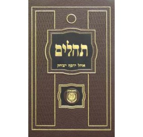 Tehillim Hebrew Large 6 x 9