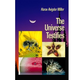 The Universe Testifies