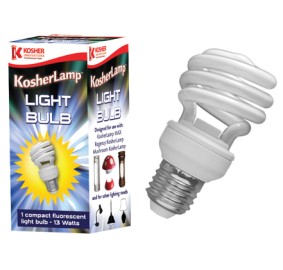 Compact Fluorescent Bulb 13 Watts