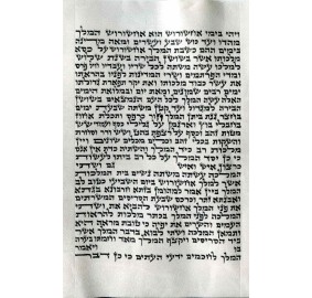 Megillah Klaf Ari 6.5"