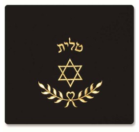 TEFILLIN BAG VELVET #P8