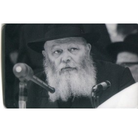 Rebbe Photo Card - Wallet Size