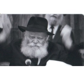 Rebbe Photo Card - Wallet Size