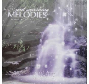 Soul Searching Melodies