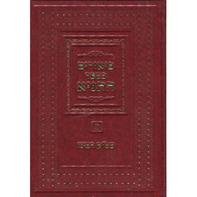 Biurim B'sefer Hatanya Volume 3 - ביאורים בספר התניא חלק ג