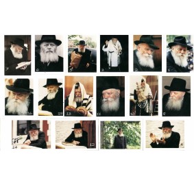 Rebbe Picture 10X14