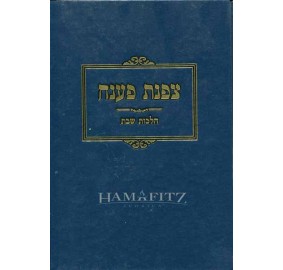 Tzofnat Paneach Hilchot Shabos