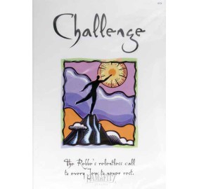 Challenge, DVD